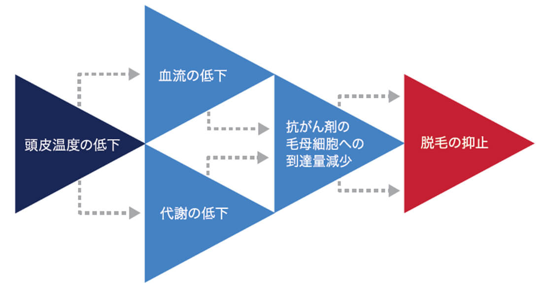 頭皮冷却システムの特長